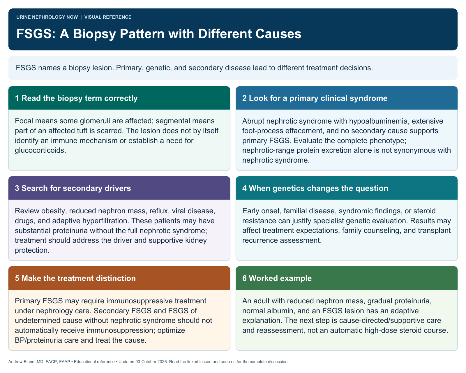 FSGS: A Biopsy Pattern with Different Causes. Full text follows below.