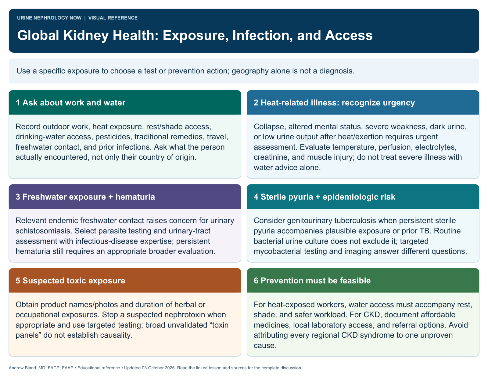 Global Kidney Health: Exposure, Infection, and Access. Full text follows below.
