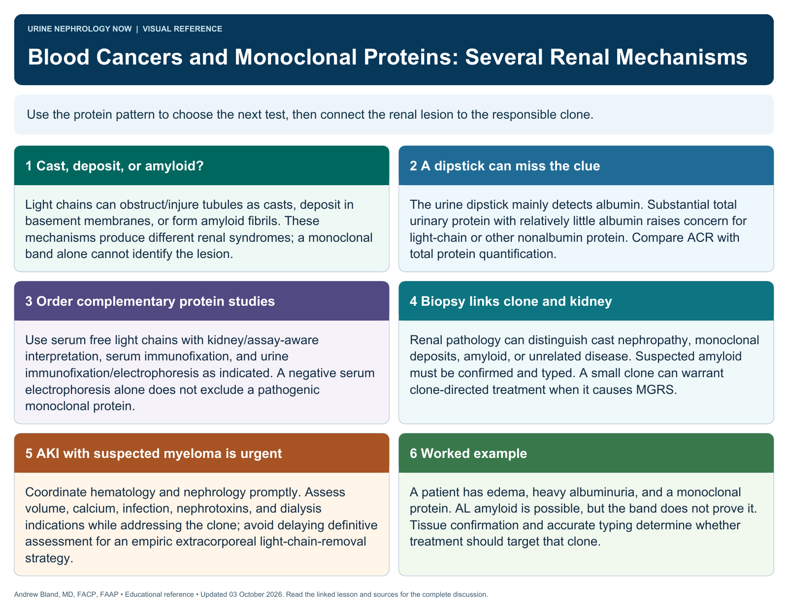 Blood Cancers and Monoclonal Proteins: Several Renal Mechanisms. Full text follows below.