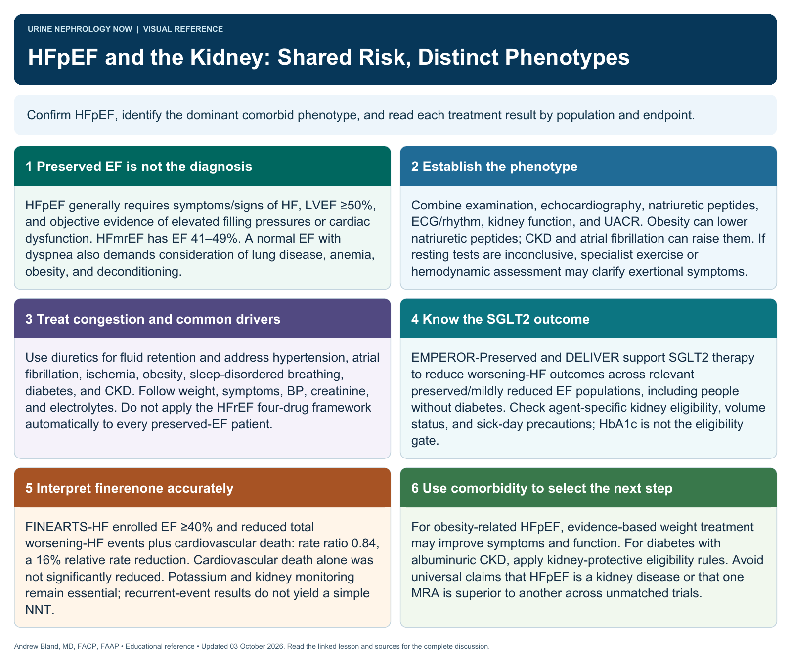 HFpEF and the Kidney: Shared Risk, Distinct Phenotypes. Full text follows below.