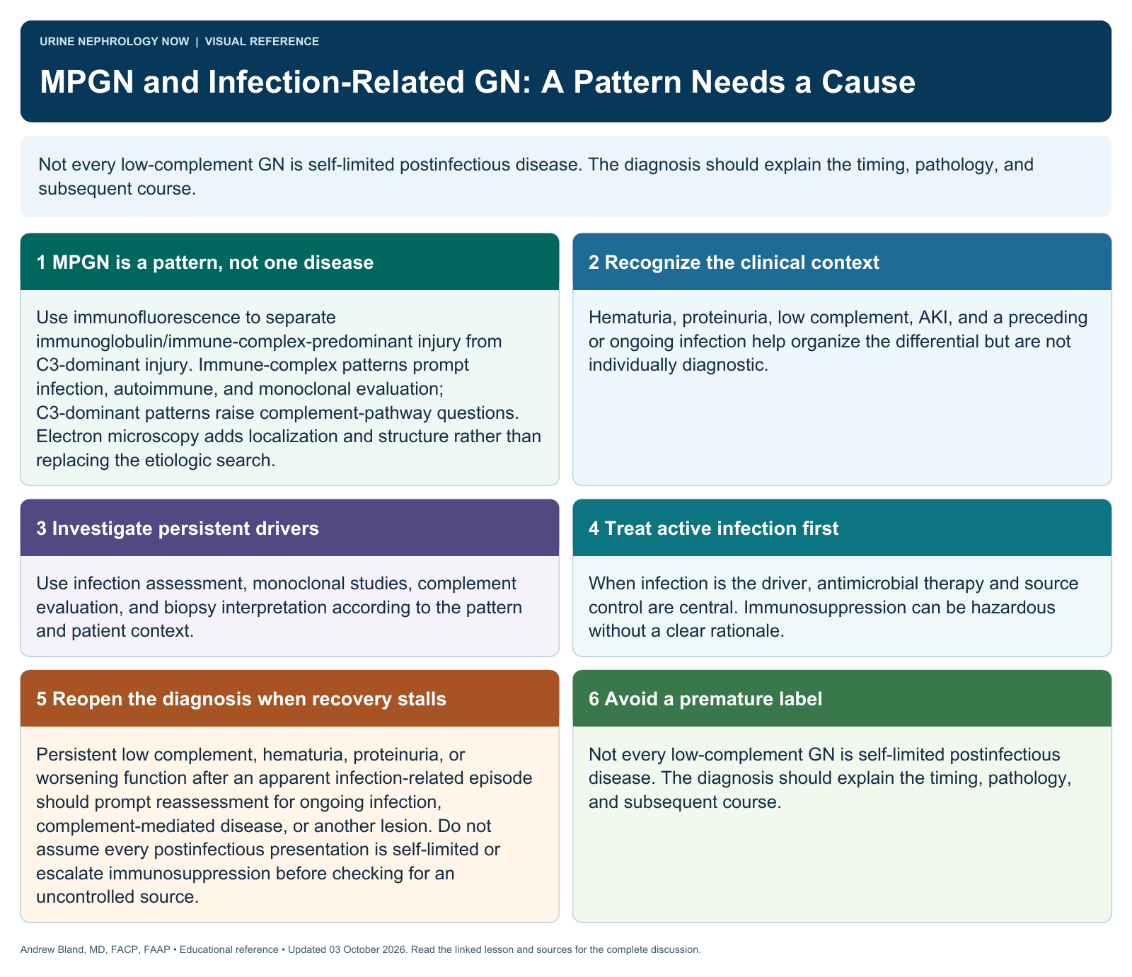 MPGN and Infection-Related GN: A Pattern Needs a Cause. Full text follows below.