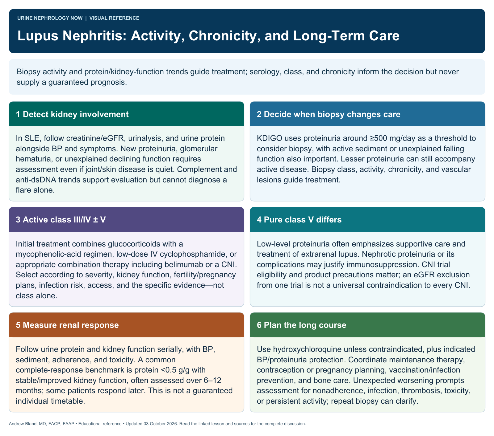 Lupus Nephritis: Activity, Chronicity, and Long-Term Care. Full text follows below.