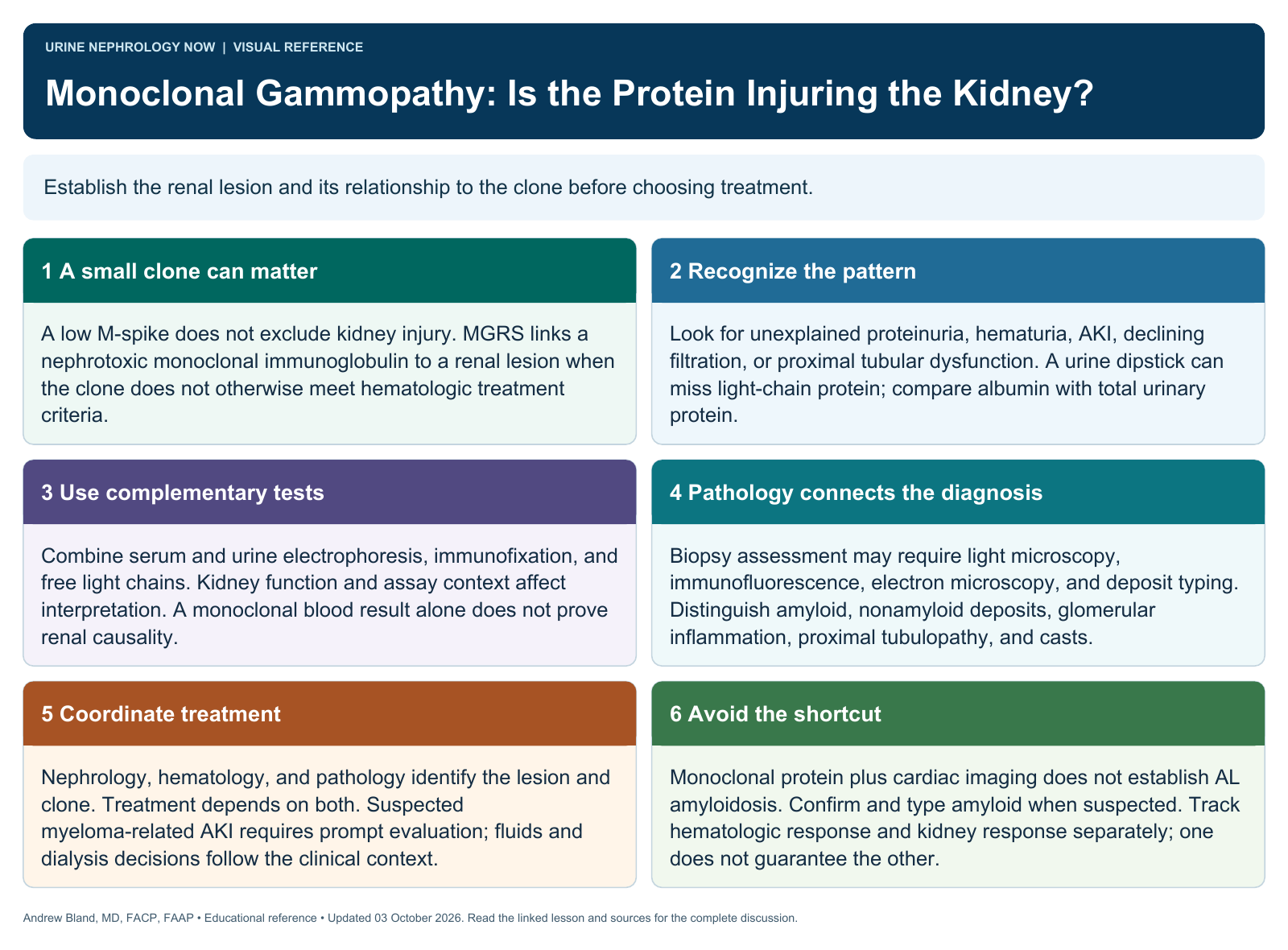 Monoclonal Gammopathy: Is the Protein Injuring the Kidney?. Full text follows below.