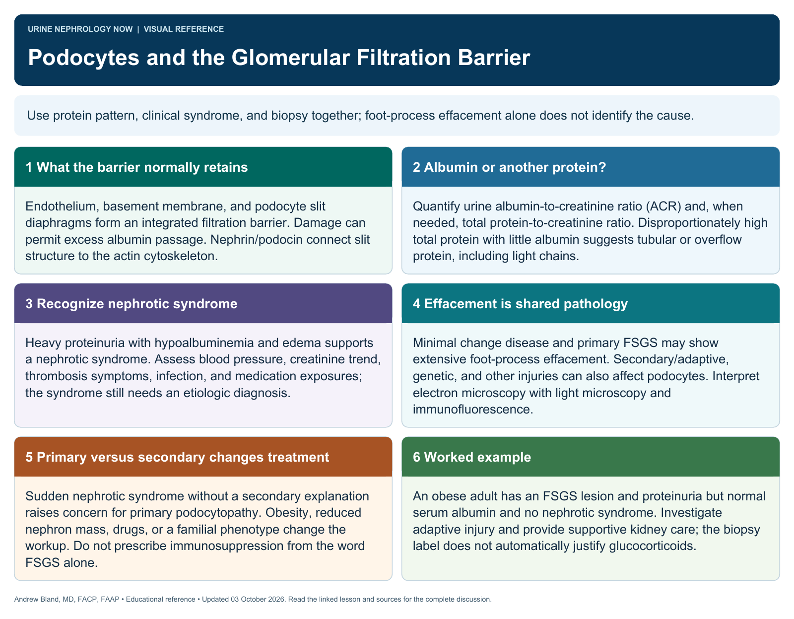 Podocytes and the Glomerular Filtration Barrier. Full text follows below.