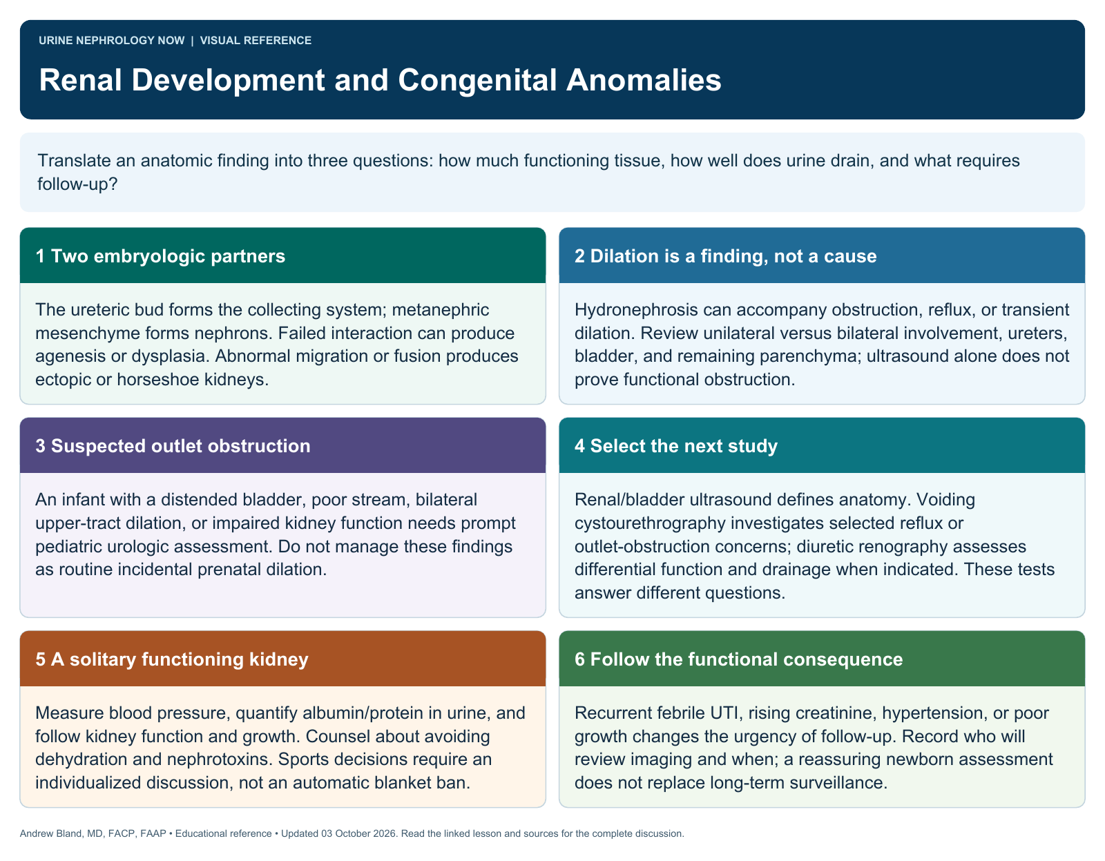 Renal Development and Congenital Anomalies. Full text follows below.