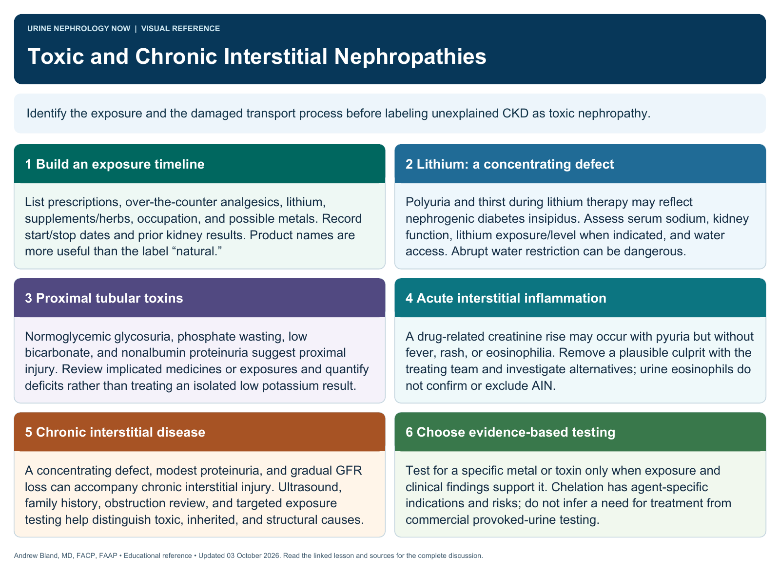 Toxic and Chronic Interstitial Nephropathies. Full text follows below.