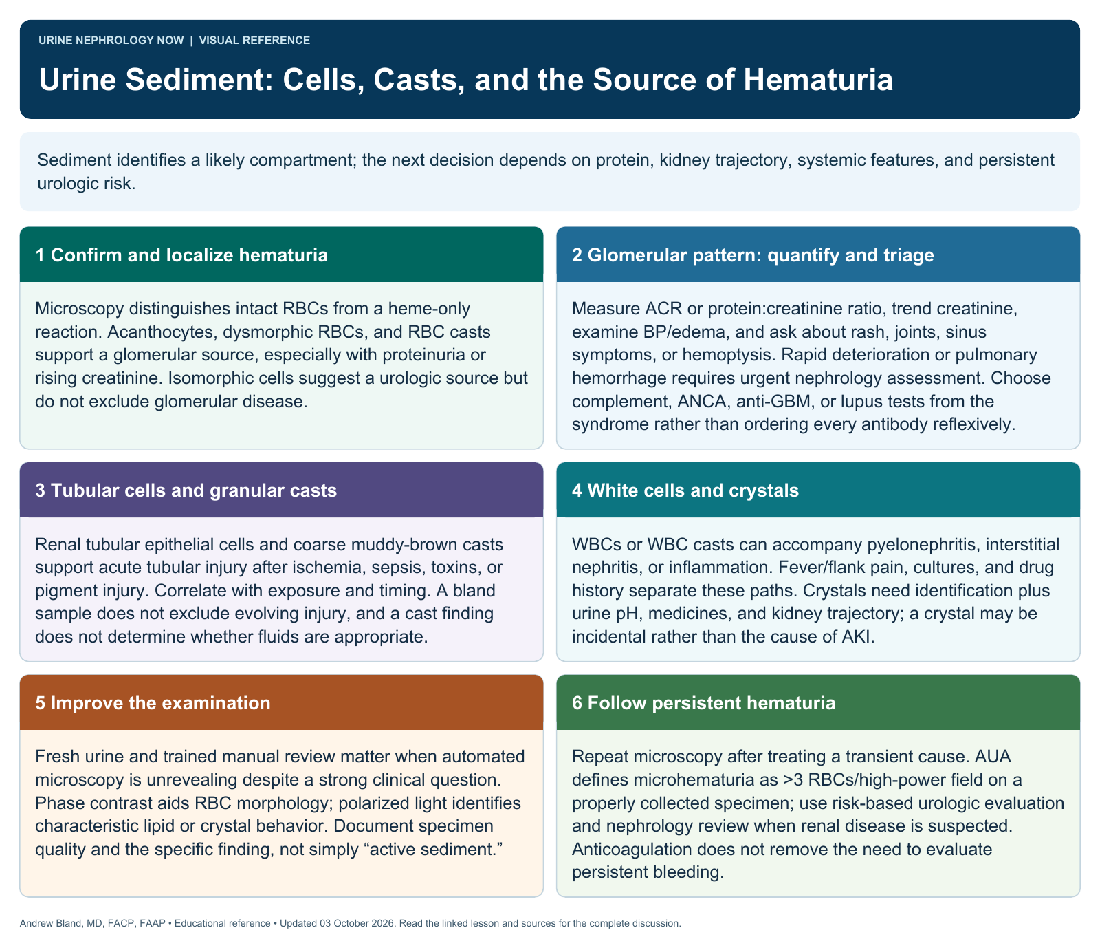Urine Sediment: Cells, Casts, and the Source of Hematuria. Full text follows below.