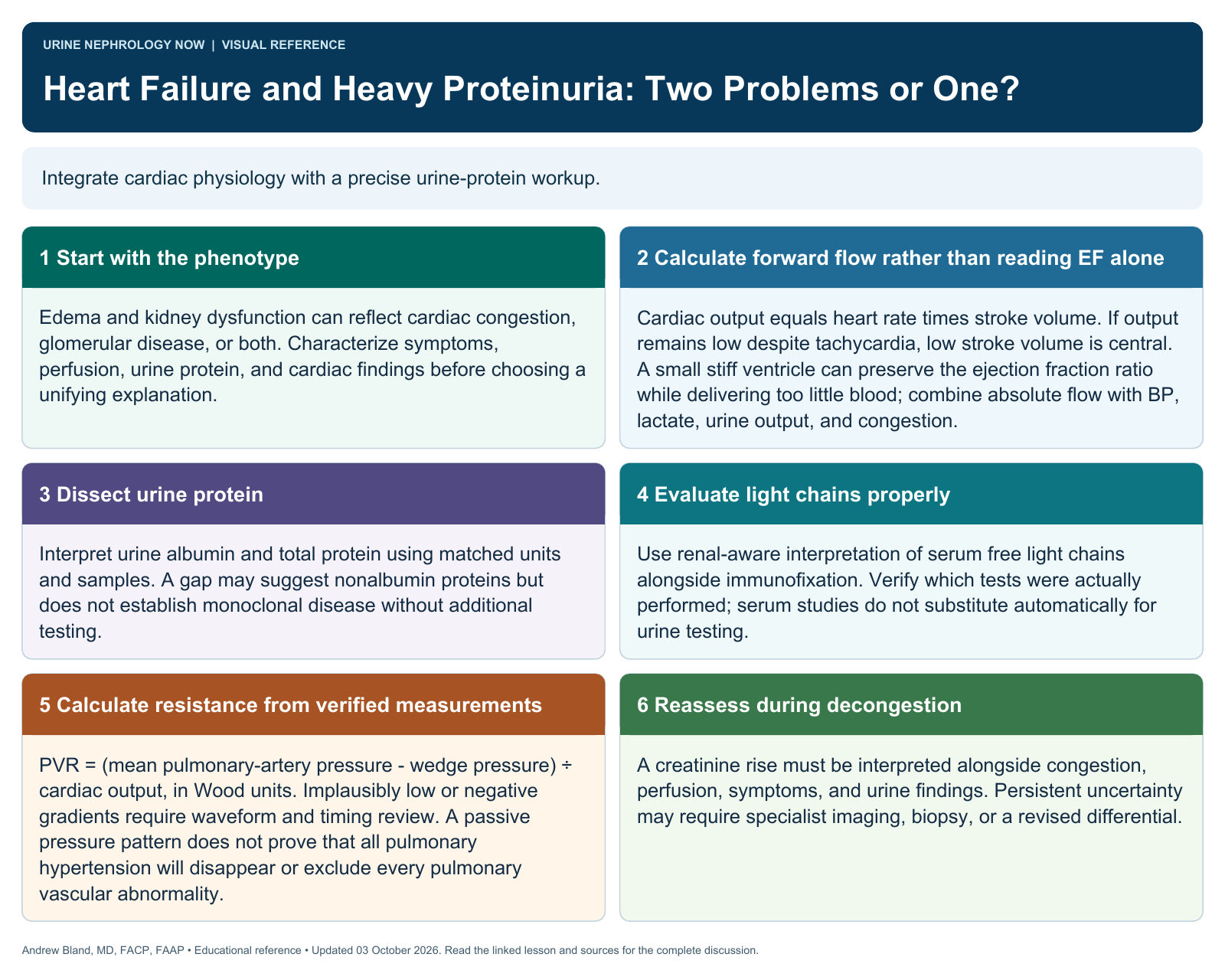 Heart Failure and Heavy Proteinuria: Two Problems or One?. Full text follows below.